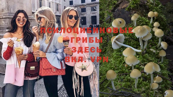 крисы Балабаново